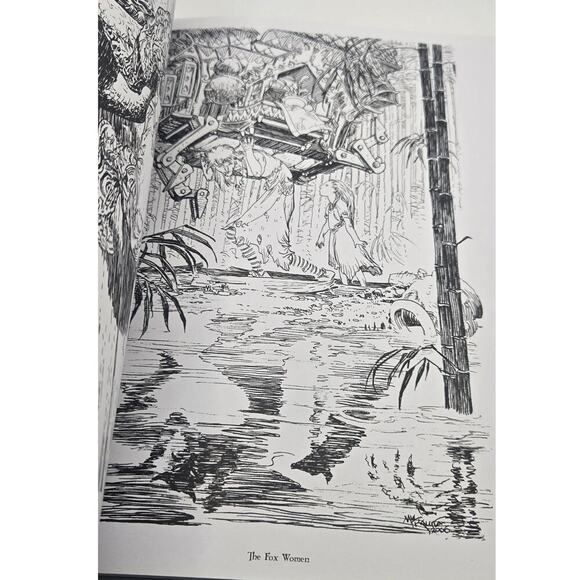 Charles Vess & Michael Kaluta Coloring Book - Picture 11 of 12